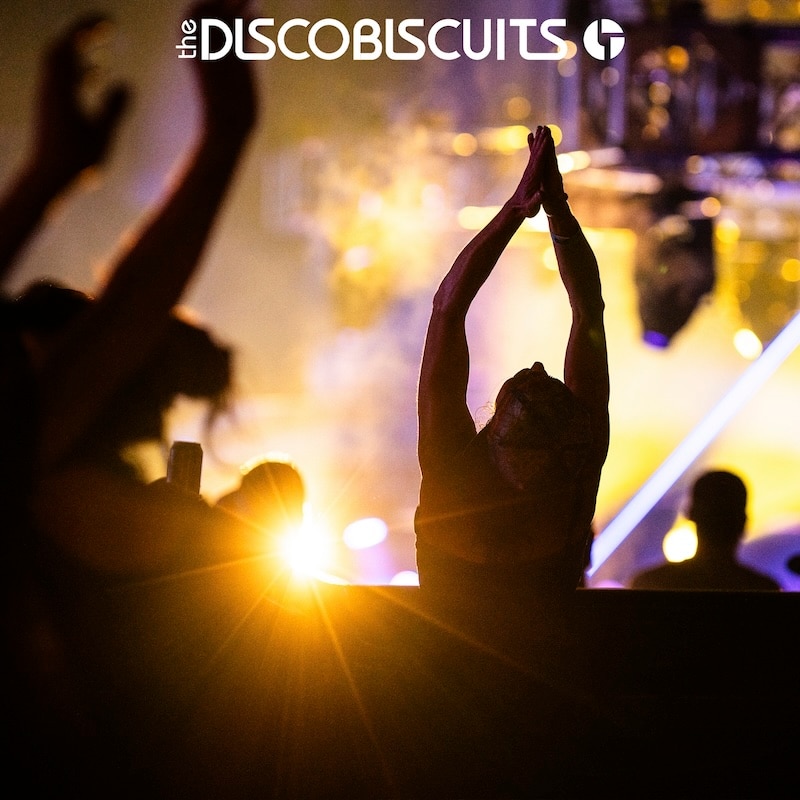 The Disco Biscuits