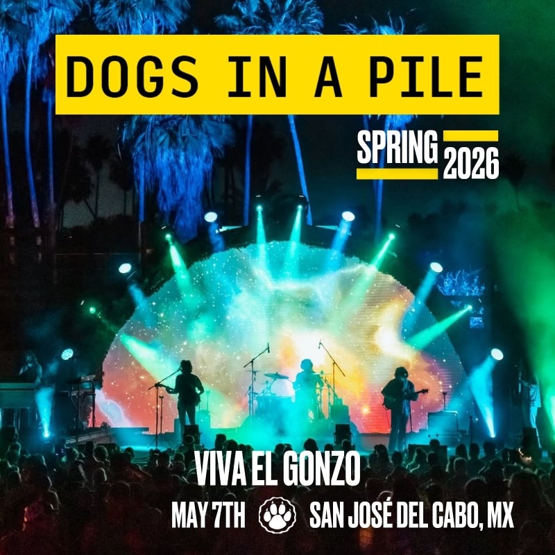 Dogs In A Pile