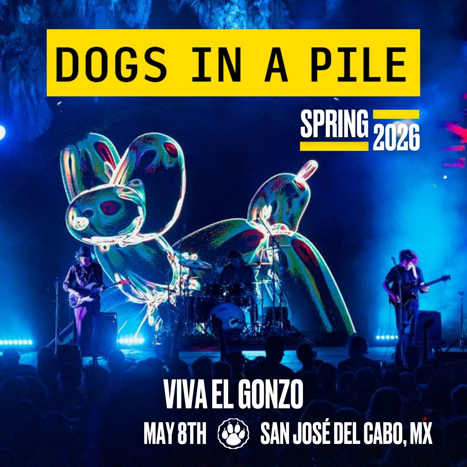 Dogs In A Pile