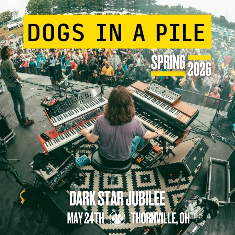 Dogs In A Pile