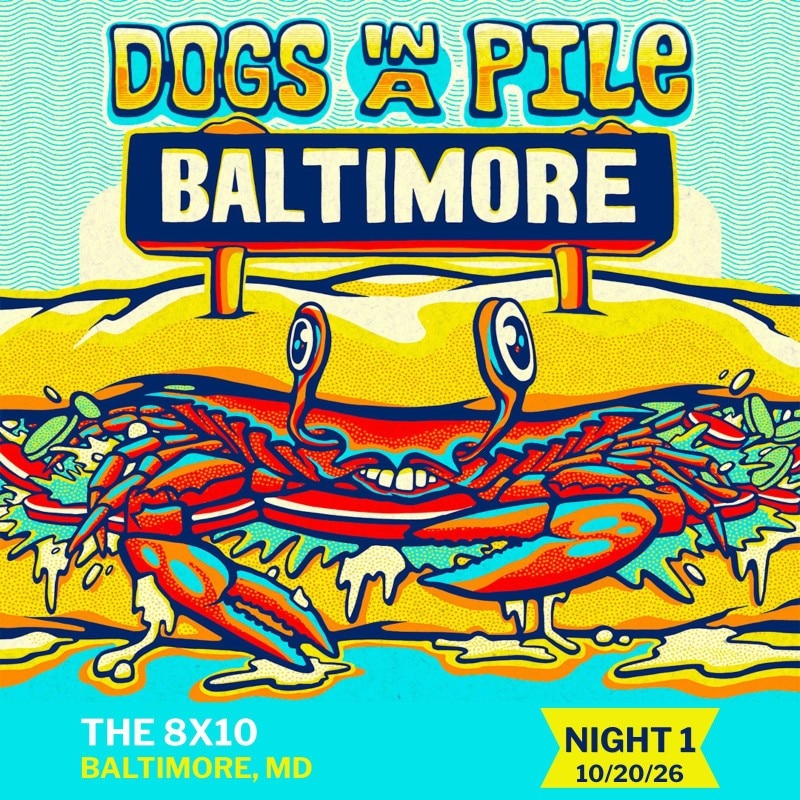 Dogs In A Pile