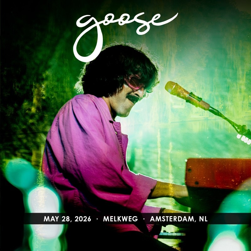 Goose