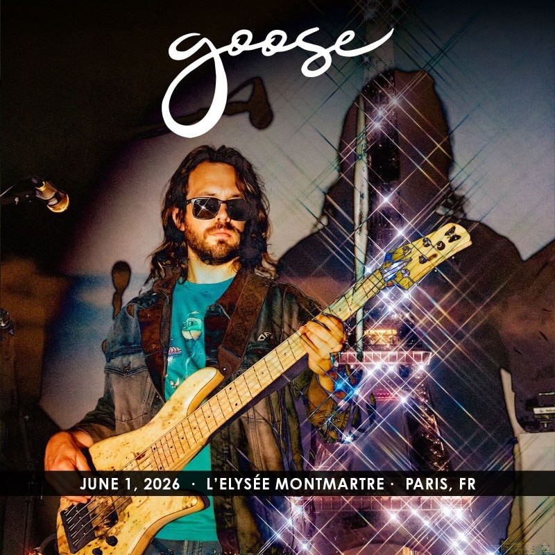 Goose