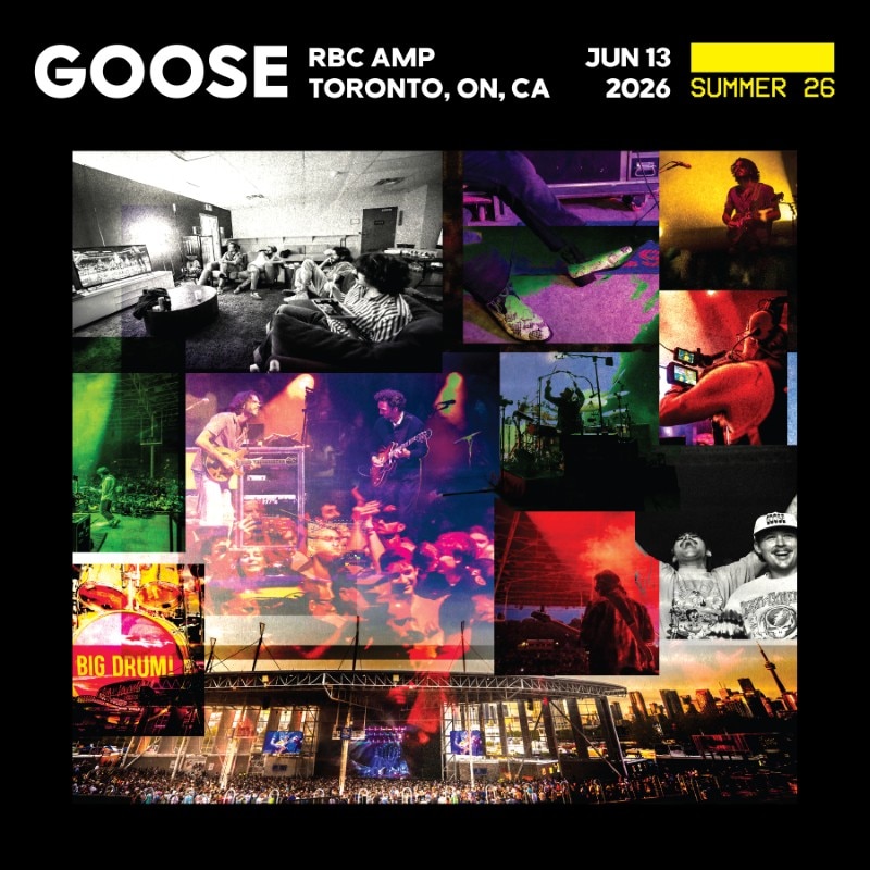Goose