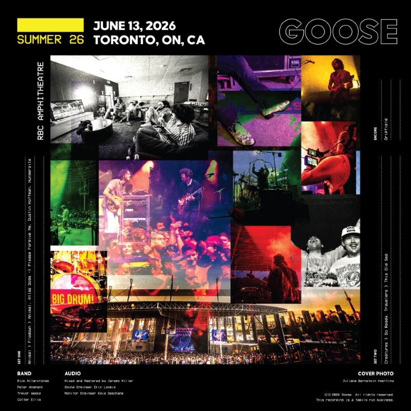 Goose