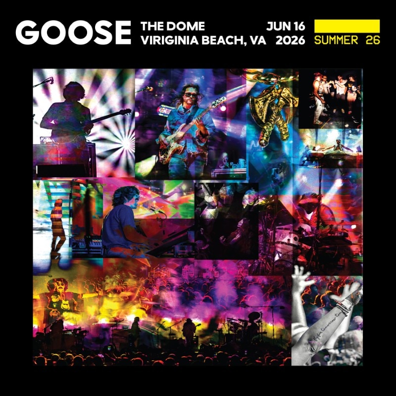 Goose