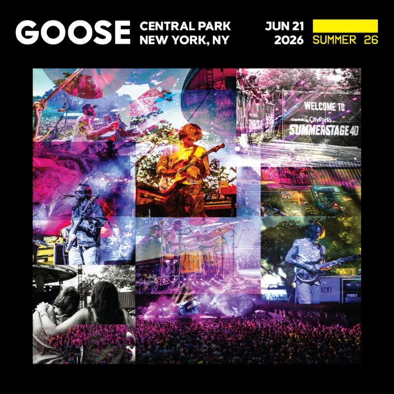 Goose