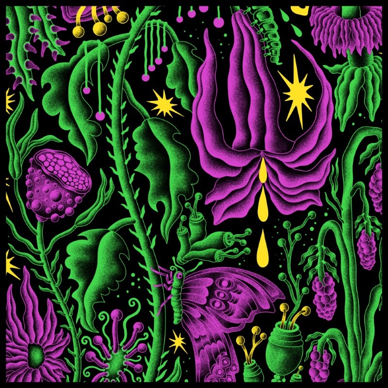 King Gizzard & The Lizard Wizard