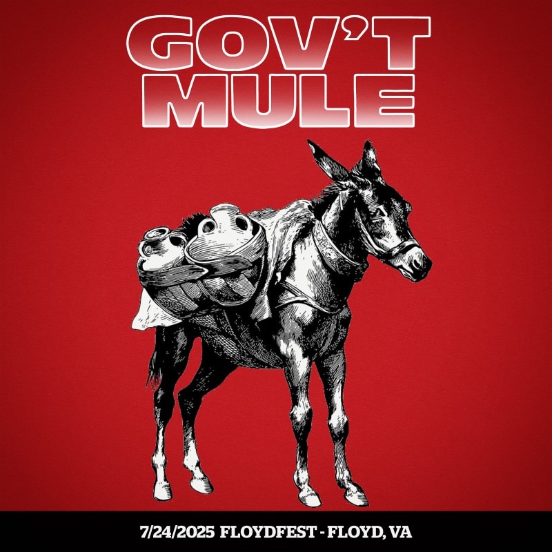 Gov't Mule