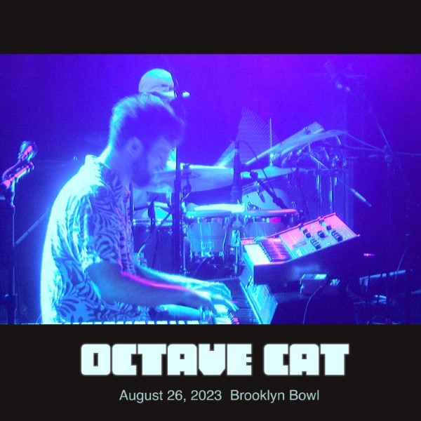 Octave Cat