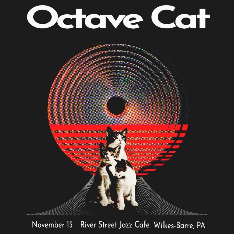 Octave Cat