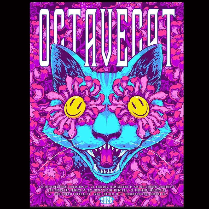 Octave Cat