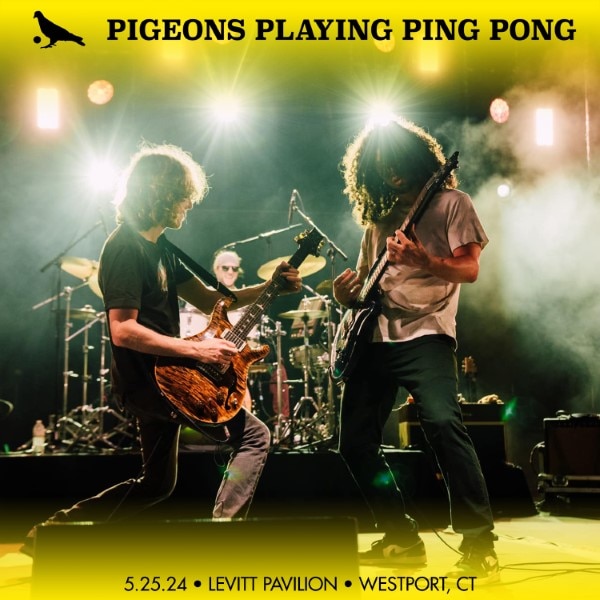 Pigeons Playing Ping Pong