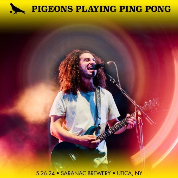 Pigeons Playing Ping Pong