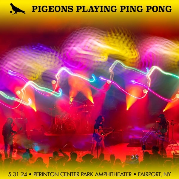 Pigeons Playing Ping Pong