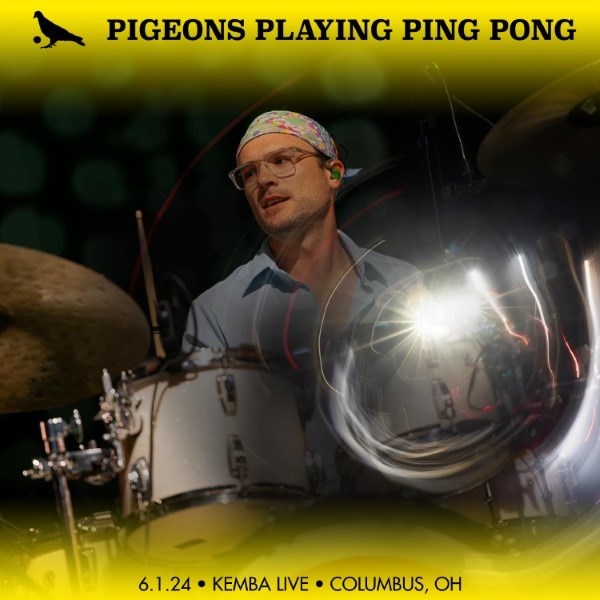 Pigeons Playing Ping Pong