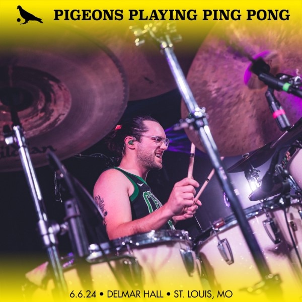 Pigeons Playing Ping Pong