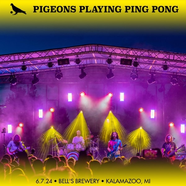 Pigeons Playing Ping Pong