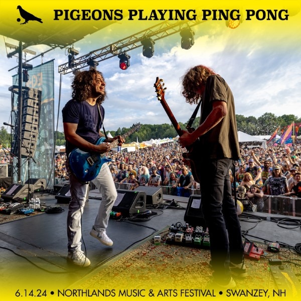 Pigeons Playing Ping Pong