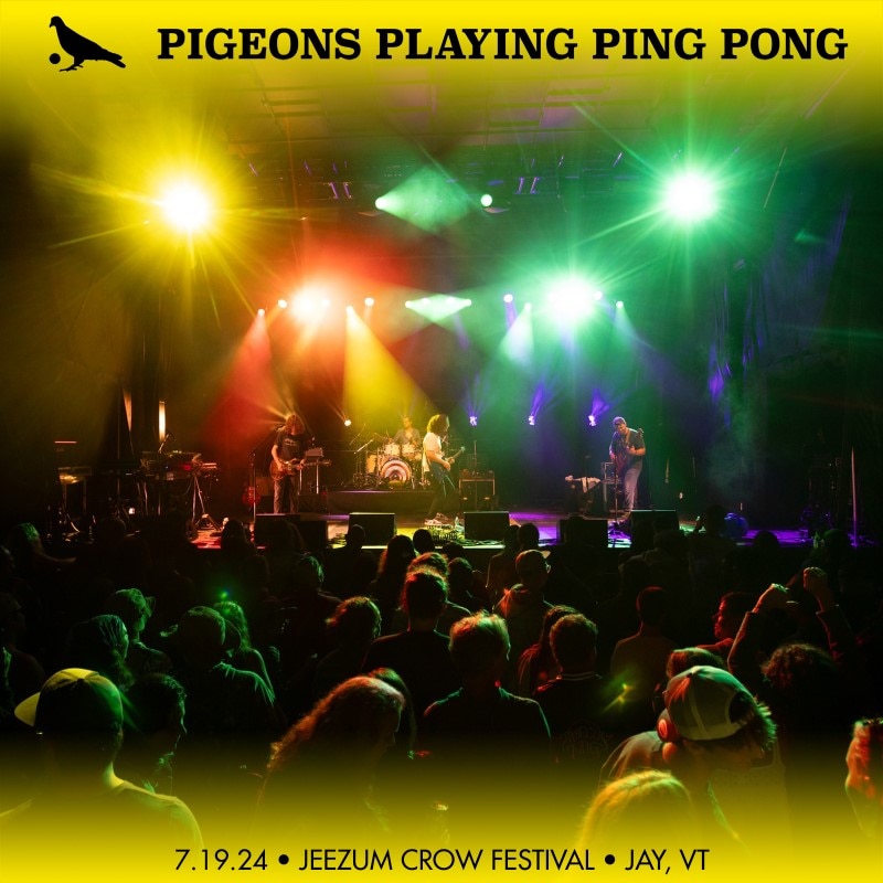 Pigeons Playing Ping Pong