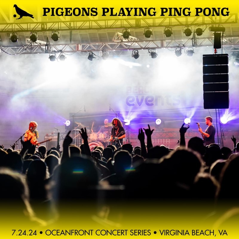 Pigeons Playing Ping Pong