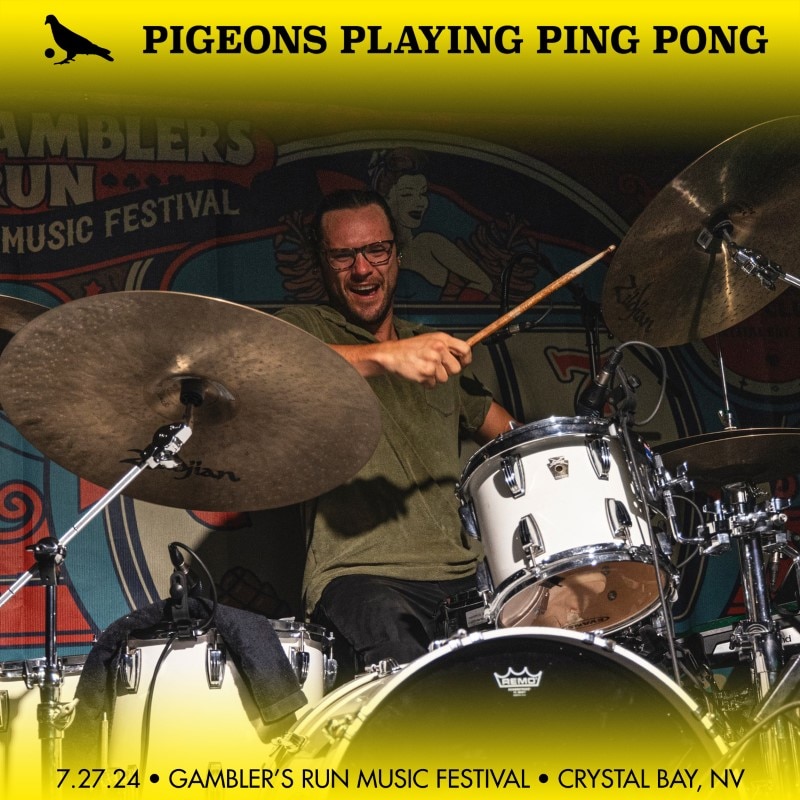 Pigeons Playing Ping Pong