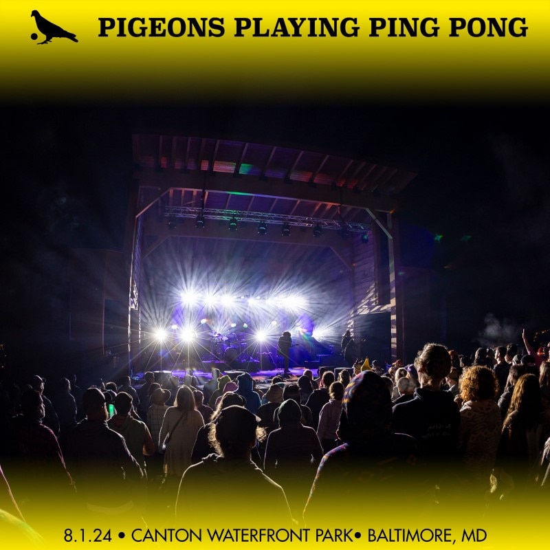 Pigeons Playing Ping Pong