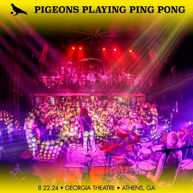 Pigeons Playing Ping Pong