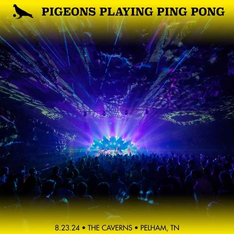 Pigeons Playing Ping Pong