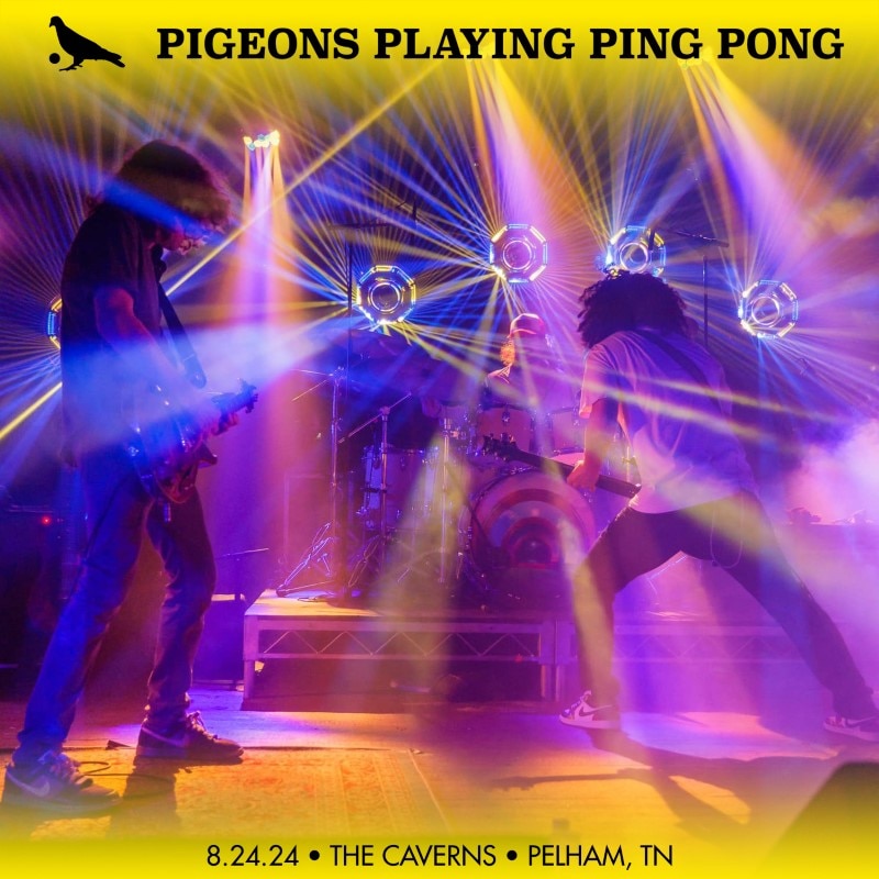 Pigeons Playing Ping Pong