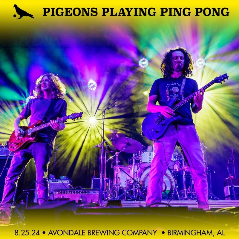 Pigeons Playing Ping Pong