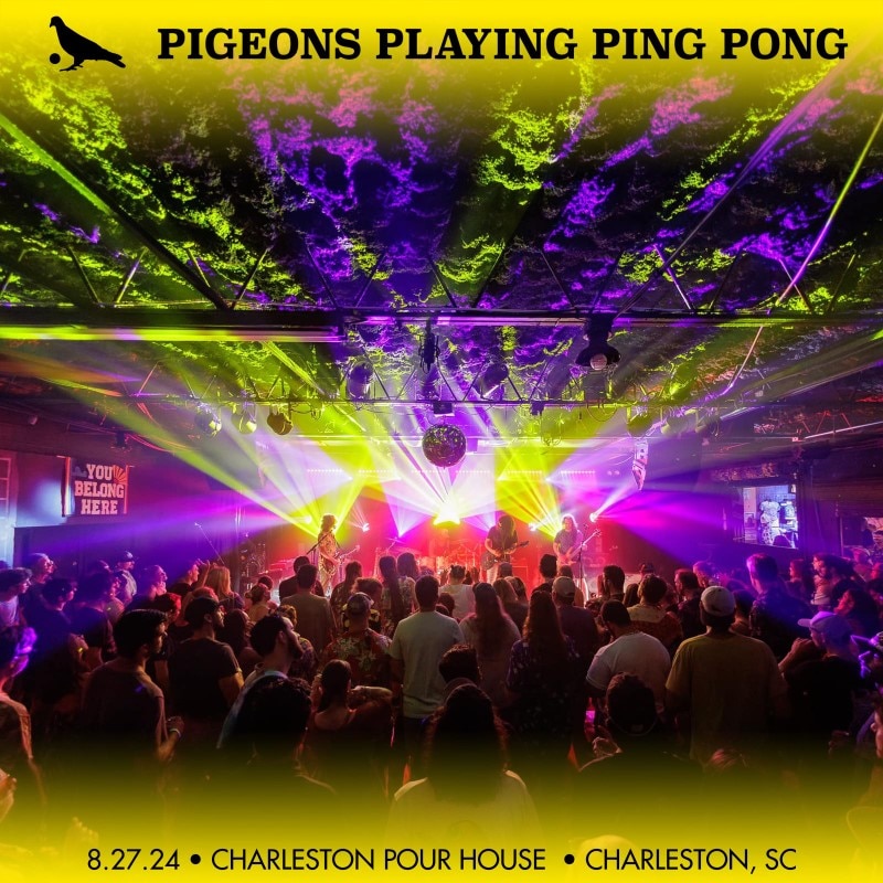 Pigeons Playing Ping Pong