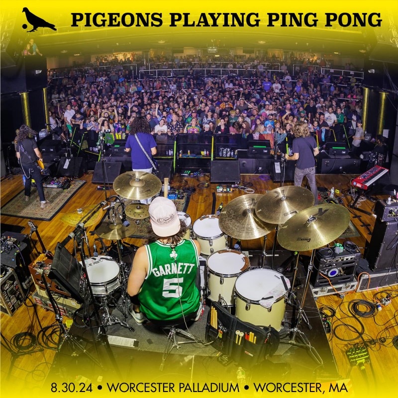 Pigeons Playing Ping Pong