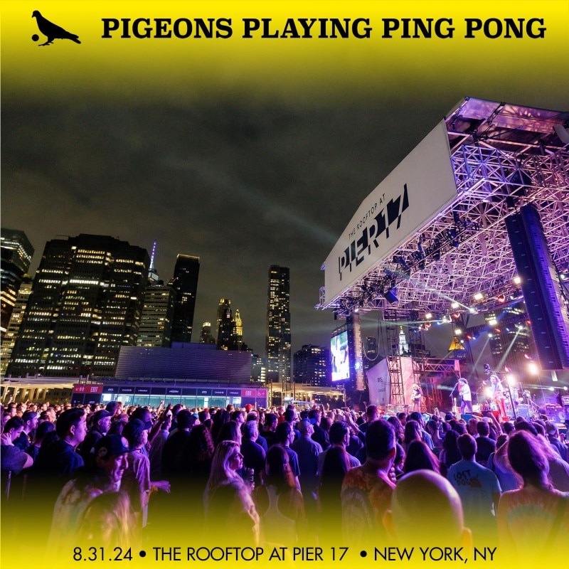 Pigeons Playing Ping Pong