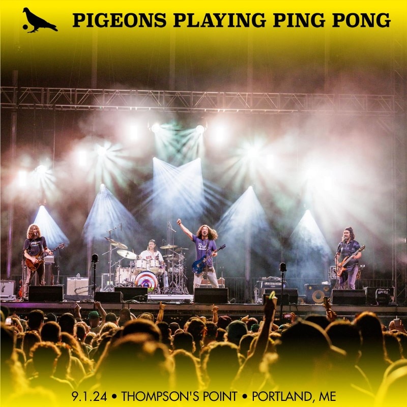 Pigeons Playing Ping Pong