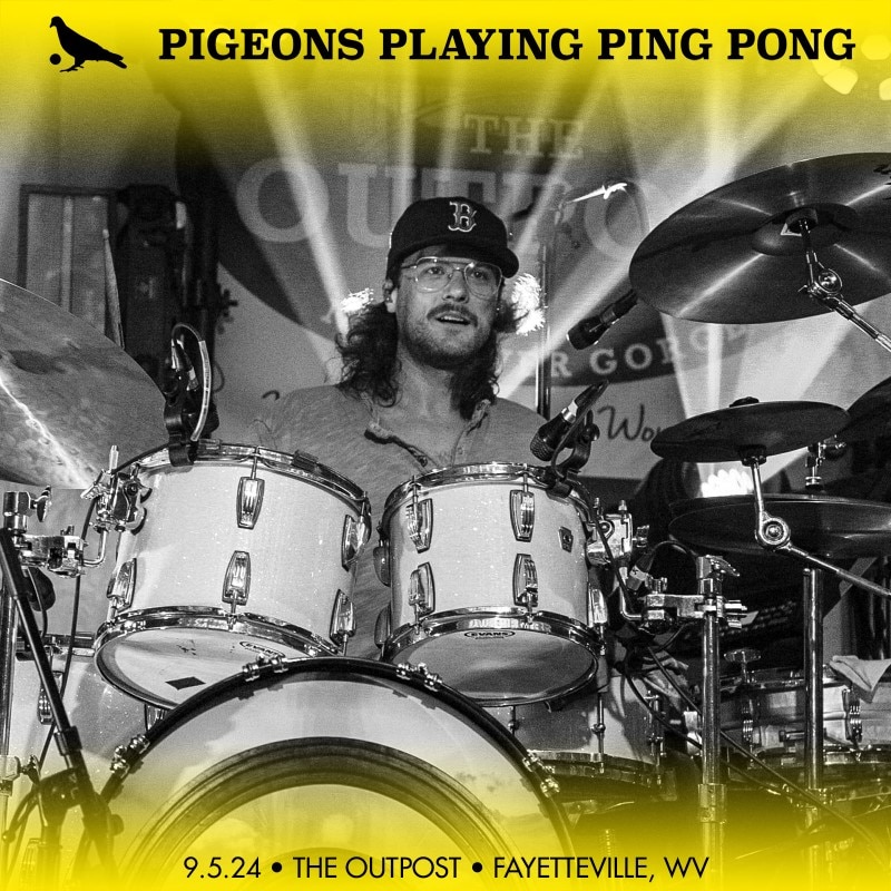 Pigeons Playing Ping Pong