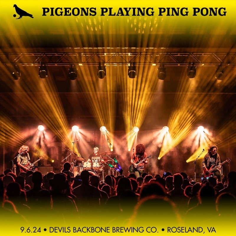 Pigeons Playing Ping Pong