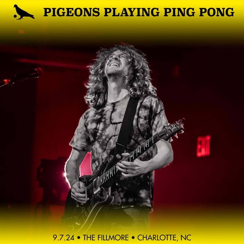 Pigeons Playing Ping Pong