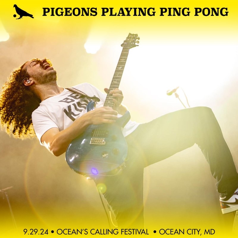 Pigeons Playing Ping Pong