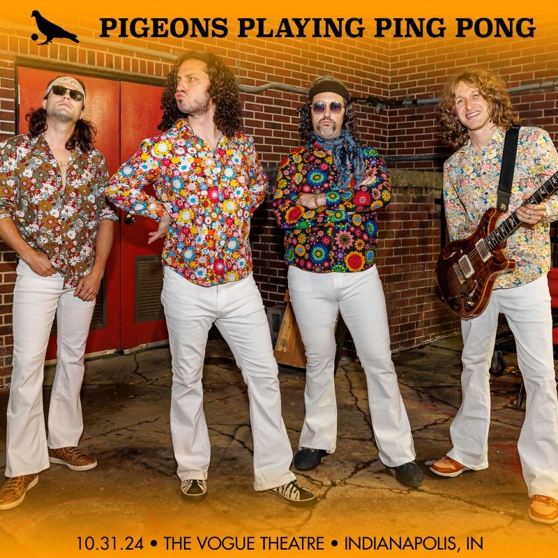 Pigeons Playing Ping Pong