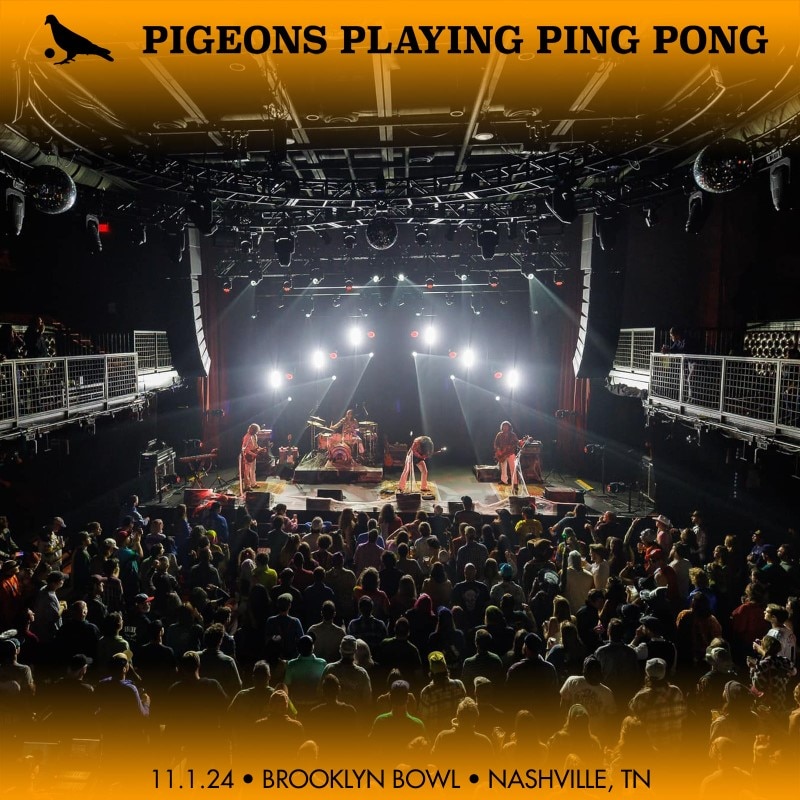 Pigeons Playing Ping Pong