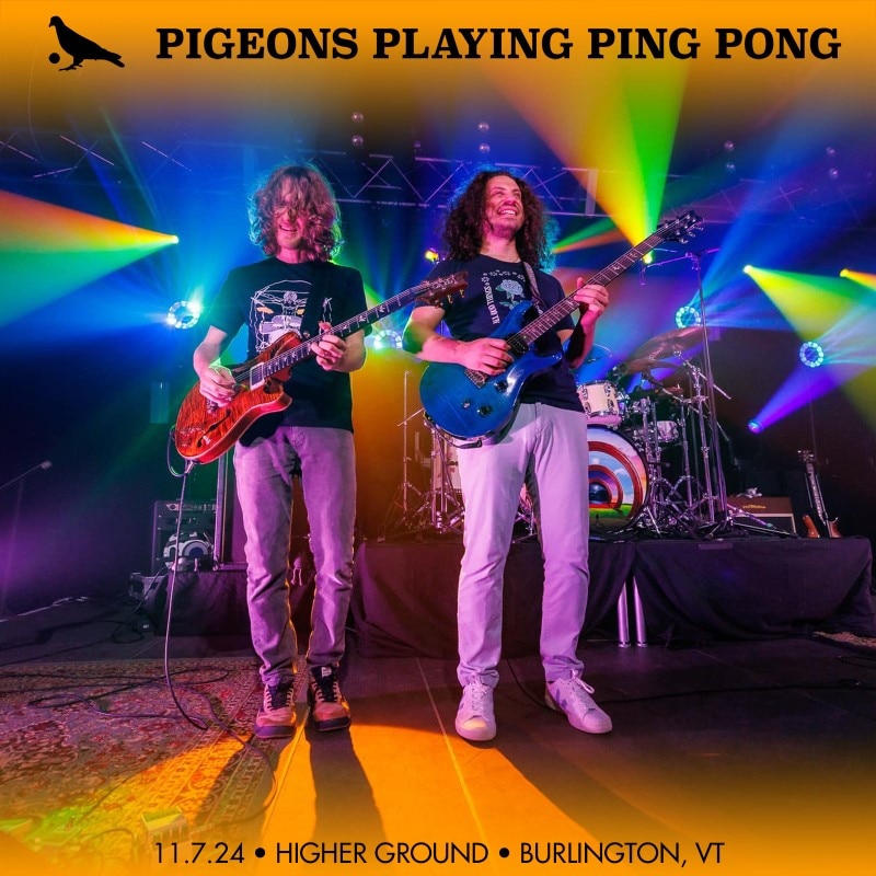 Pigeons Playing Ping Pong