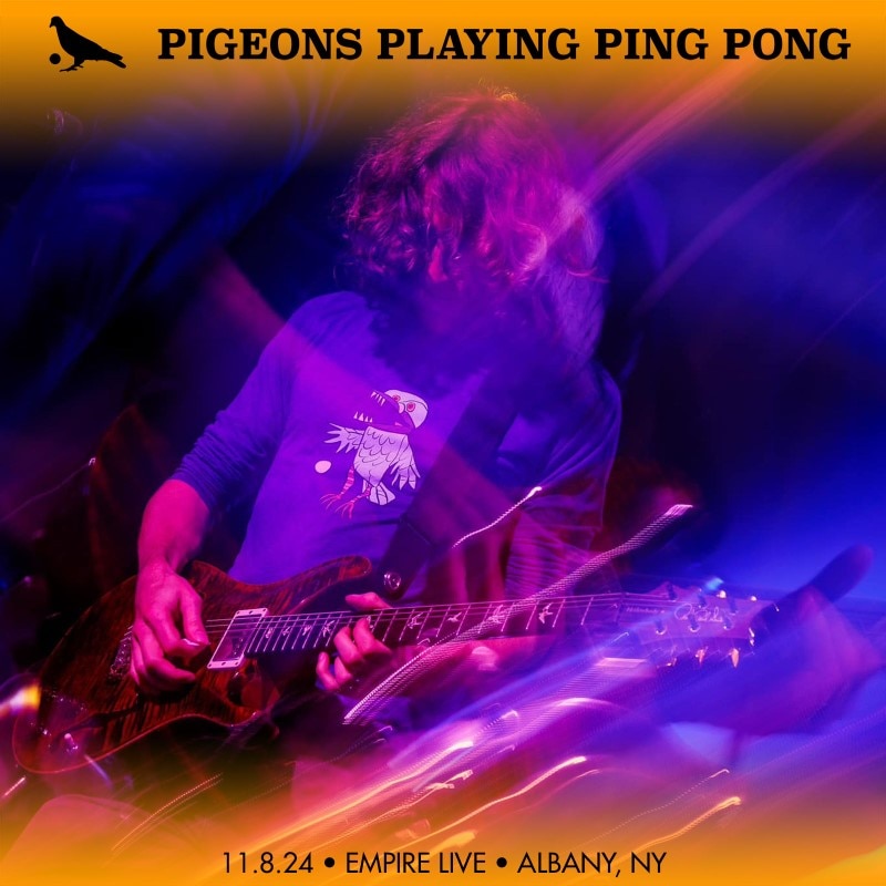 Pigeons Playing Ping Pong