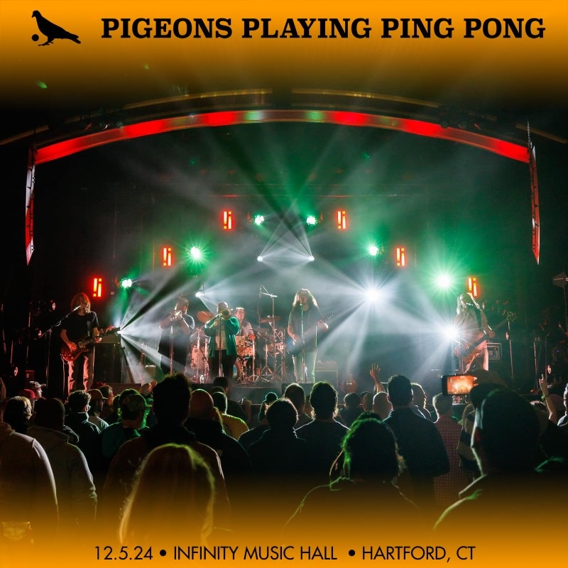 Pigeons Playing Ping Pong