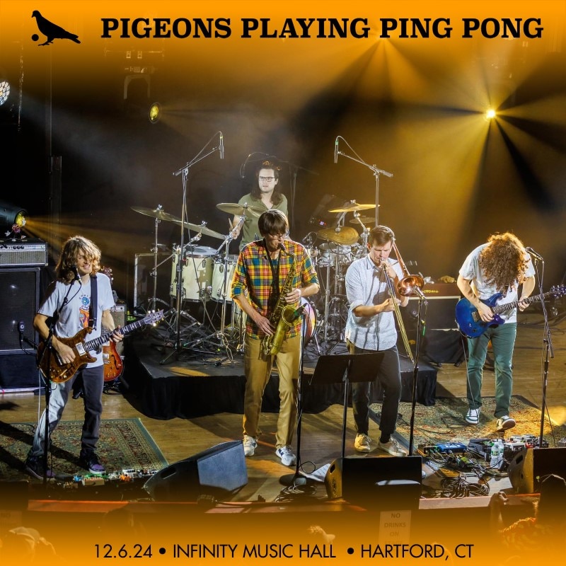 Pigeons Playing Ping Pong