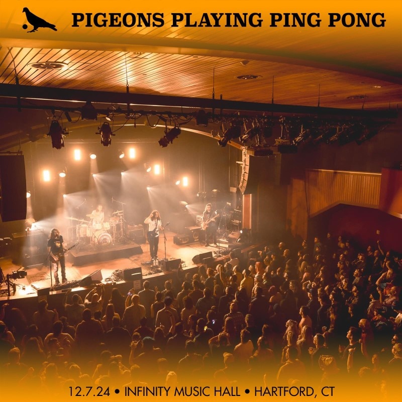 Pigeons Playing Ping Pong