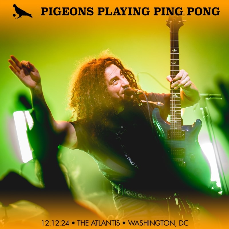 Pigeons Playing Ping Pong