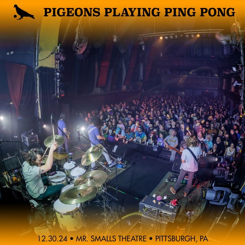 Pigeons Playing Ping Pong