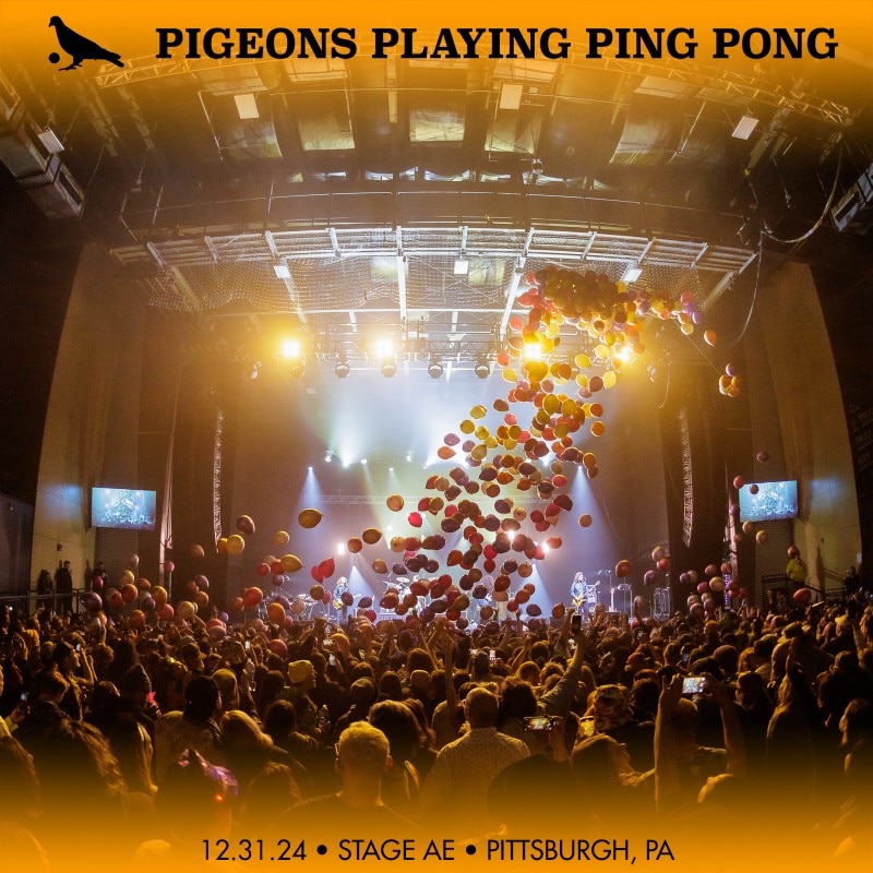 Pigeons Playing Ping Pong