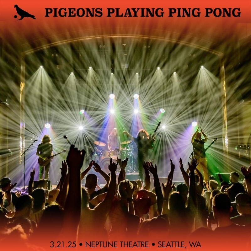 Pigeons Playing Ping Pong